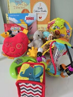 14 Assorted Baby/Toddler Toys - Colorful Plush, Interactive Toys & 6 Books